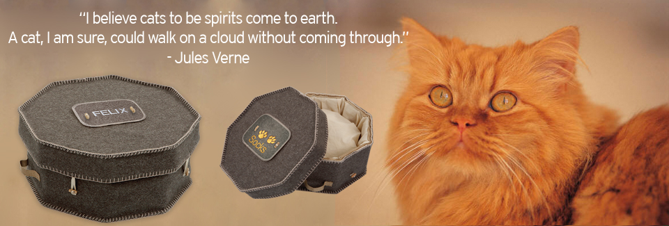 Cat Caskets